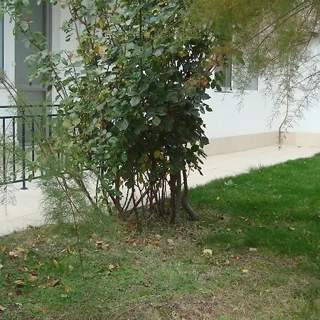 Azuro דירה סאני ביץ'